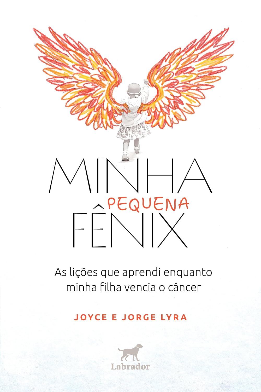 Minha pequena Fênix: As lições que aprendi enquanto minha filha vencia o câncer baixar o livro de graça