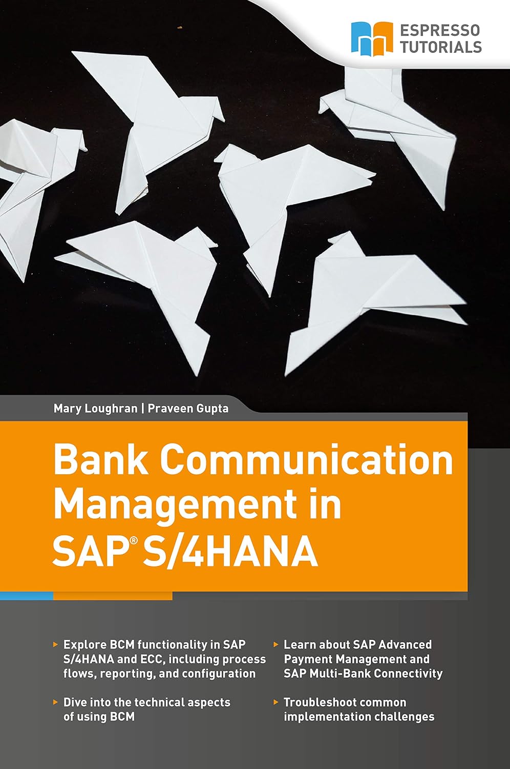 Bank Communication Management in SAP S/4HANA (English Edition) baixar livro de graça