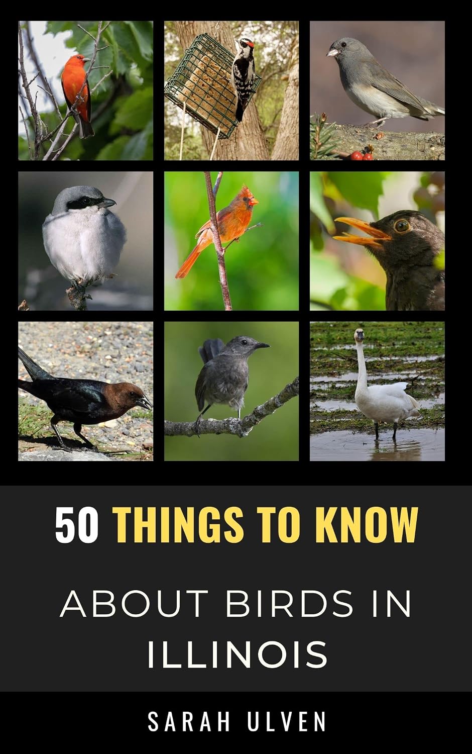 50 Things to Know About Birds in Illinois: Birdwatching Guide, Bird Identification, Local Species, Nature Facts, Backyard Birds, & Wildlife (50 Things... and regional bird books) (English Edition) baixar livro de graça
