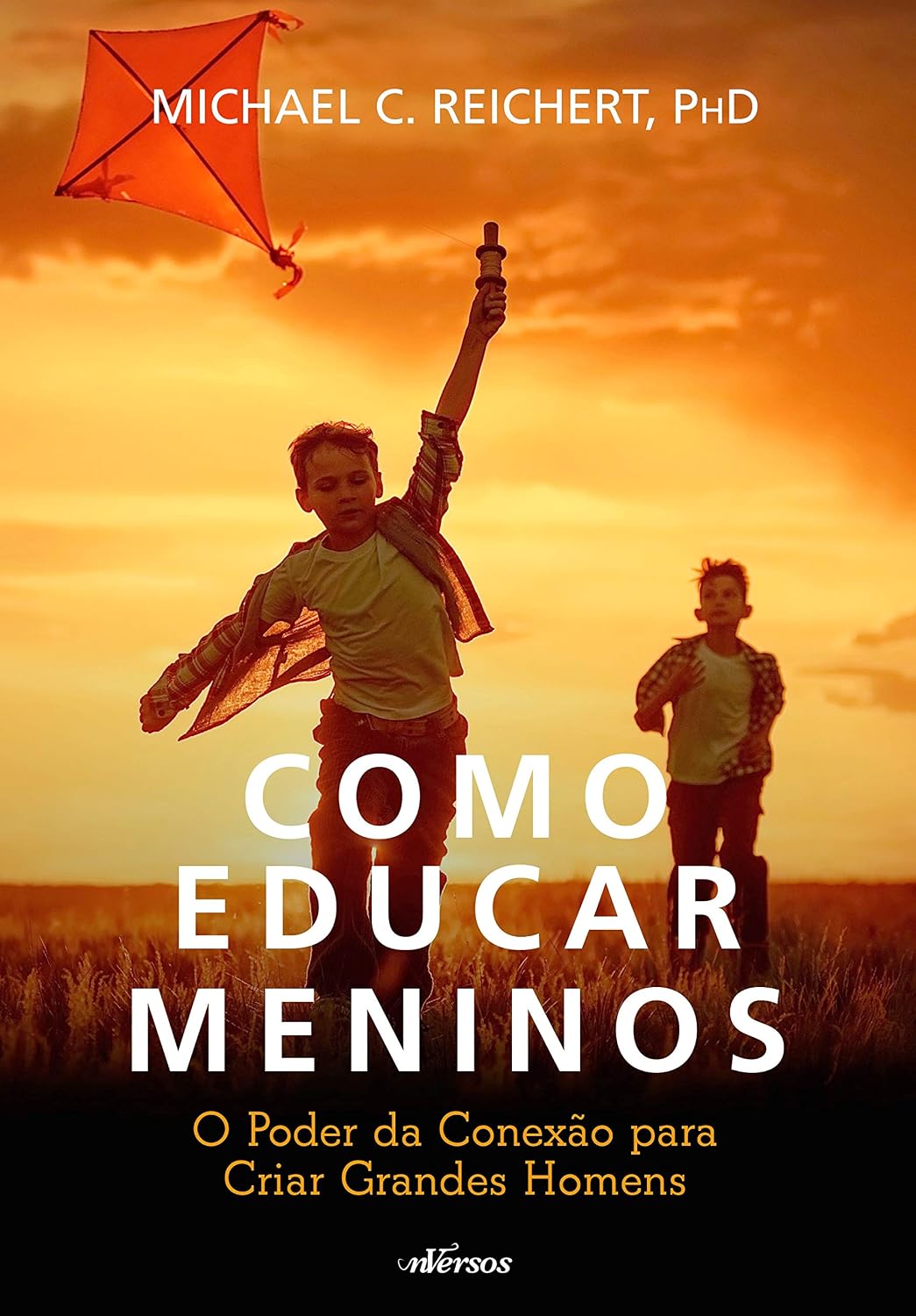 Como Educar Meninos: O poder da conexão para criar grandes homens baixar livro de graça