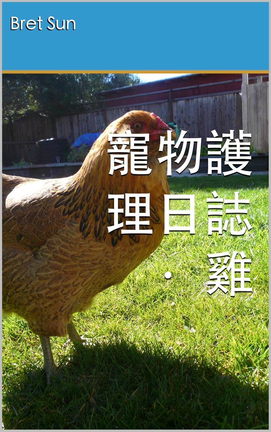 寵物護理日誌 · 雞 (Pet Care Log Book 19) (Traditional Chinese Edition) baixar o livro de graça