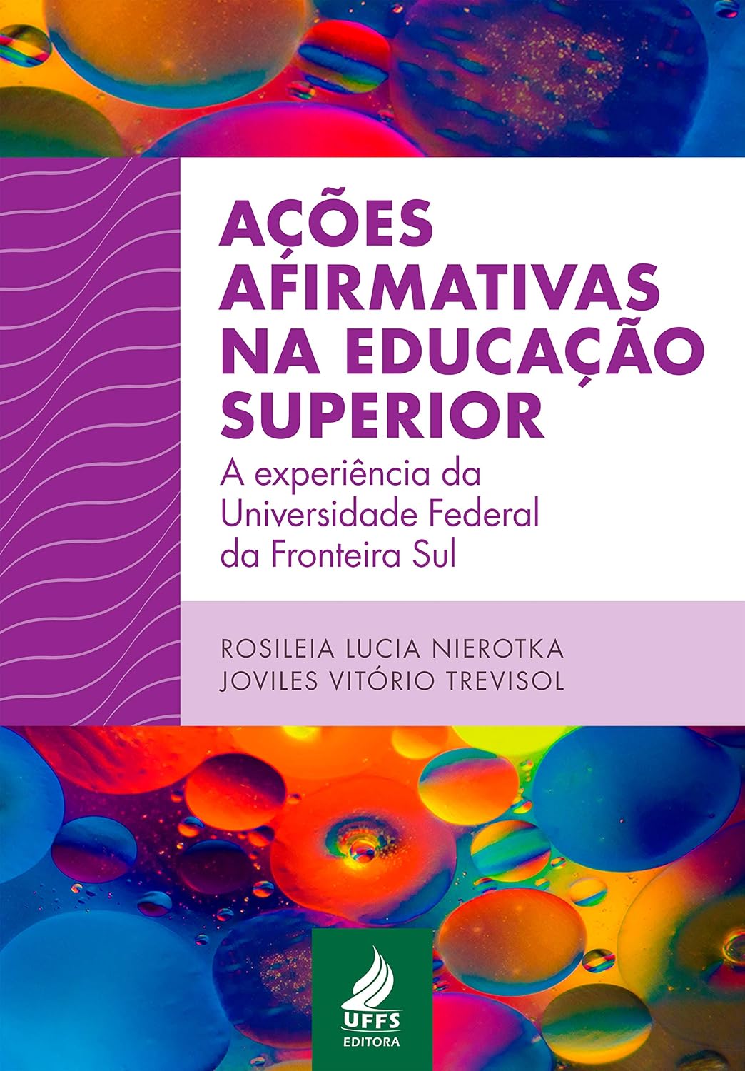 Ações afirmativas na educação superior: a experiência da Universidade Federal da Fronteira Sul baixar o livro de graça