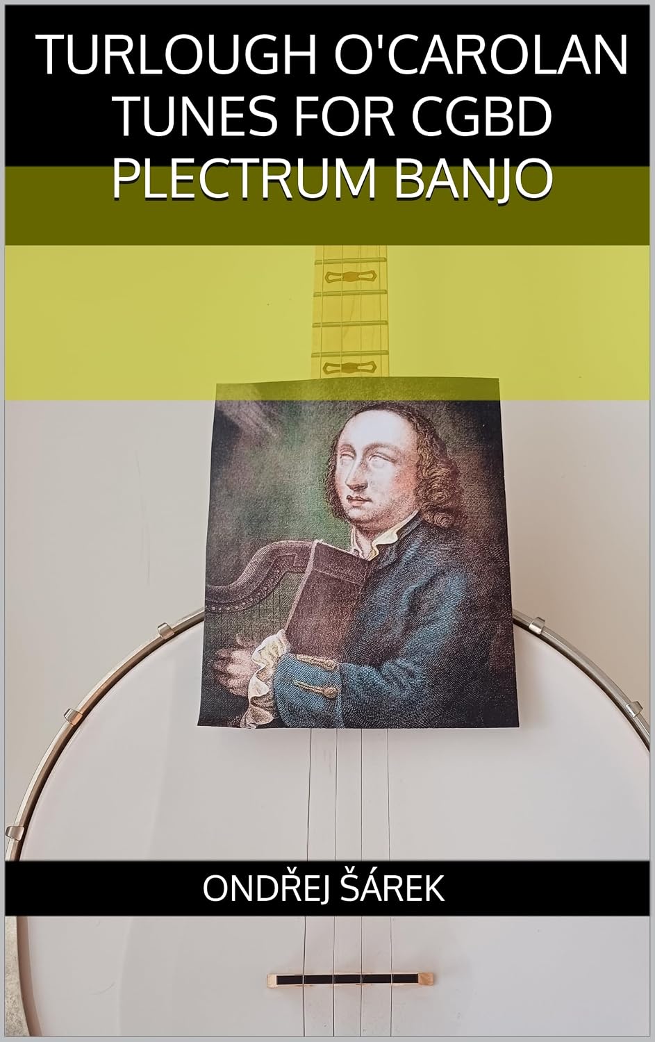 Turlough O'Carolan tunes for CGBD Plectrum Banjo (English Edition) baixar o livro de graça