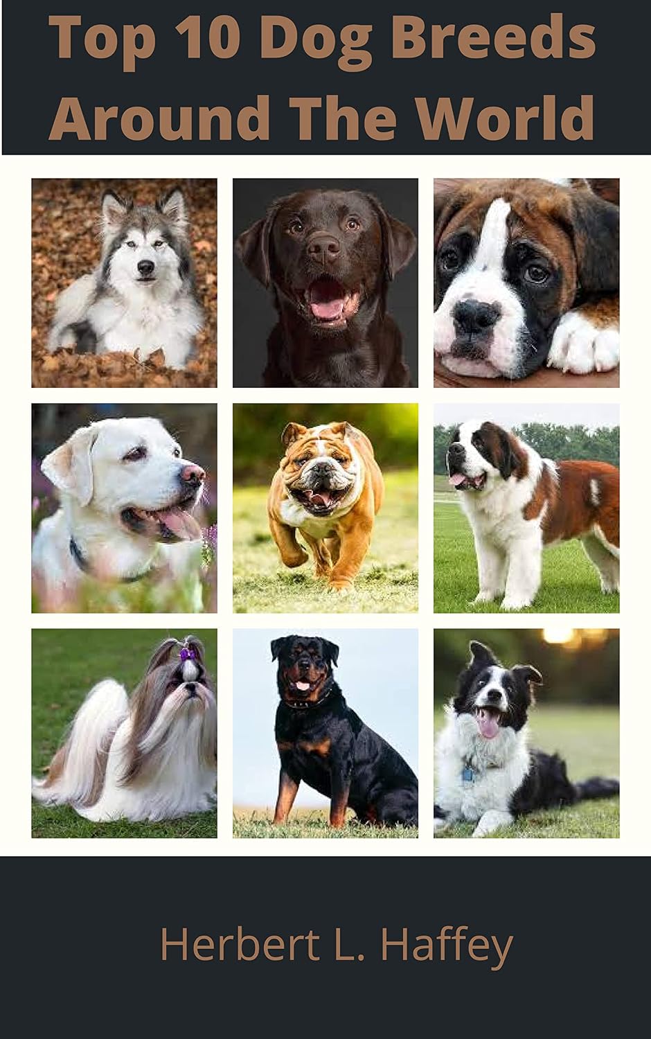 ler totalmente Top 10 Dog Breeds Around The World (English Edition)