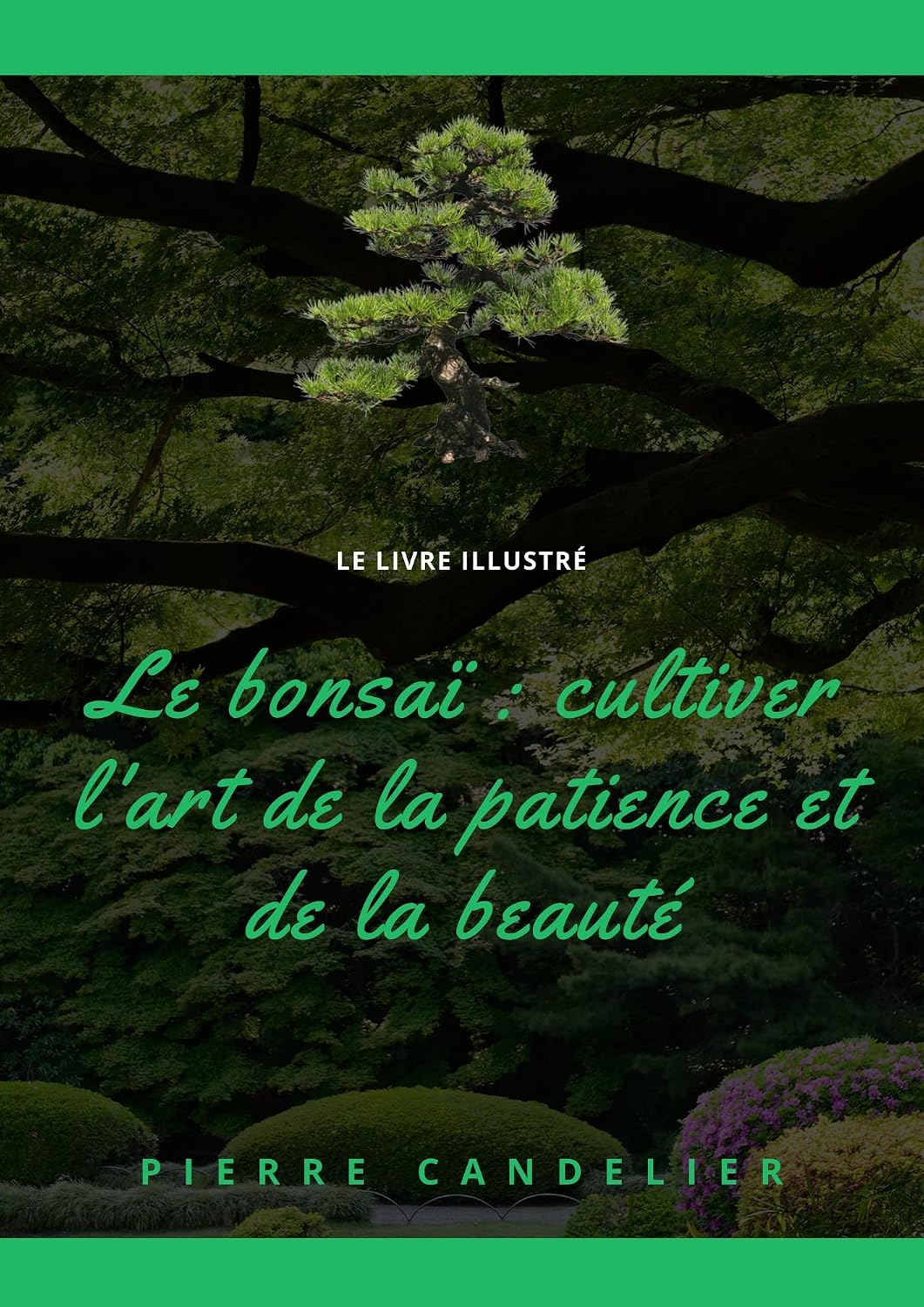Le bonsaï: cultiver l'art de la patience et de la beauté: L'art du bonsaï simplement (French Edition) baixar livro de graça