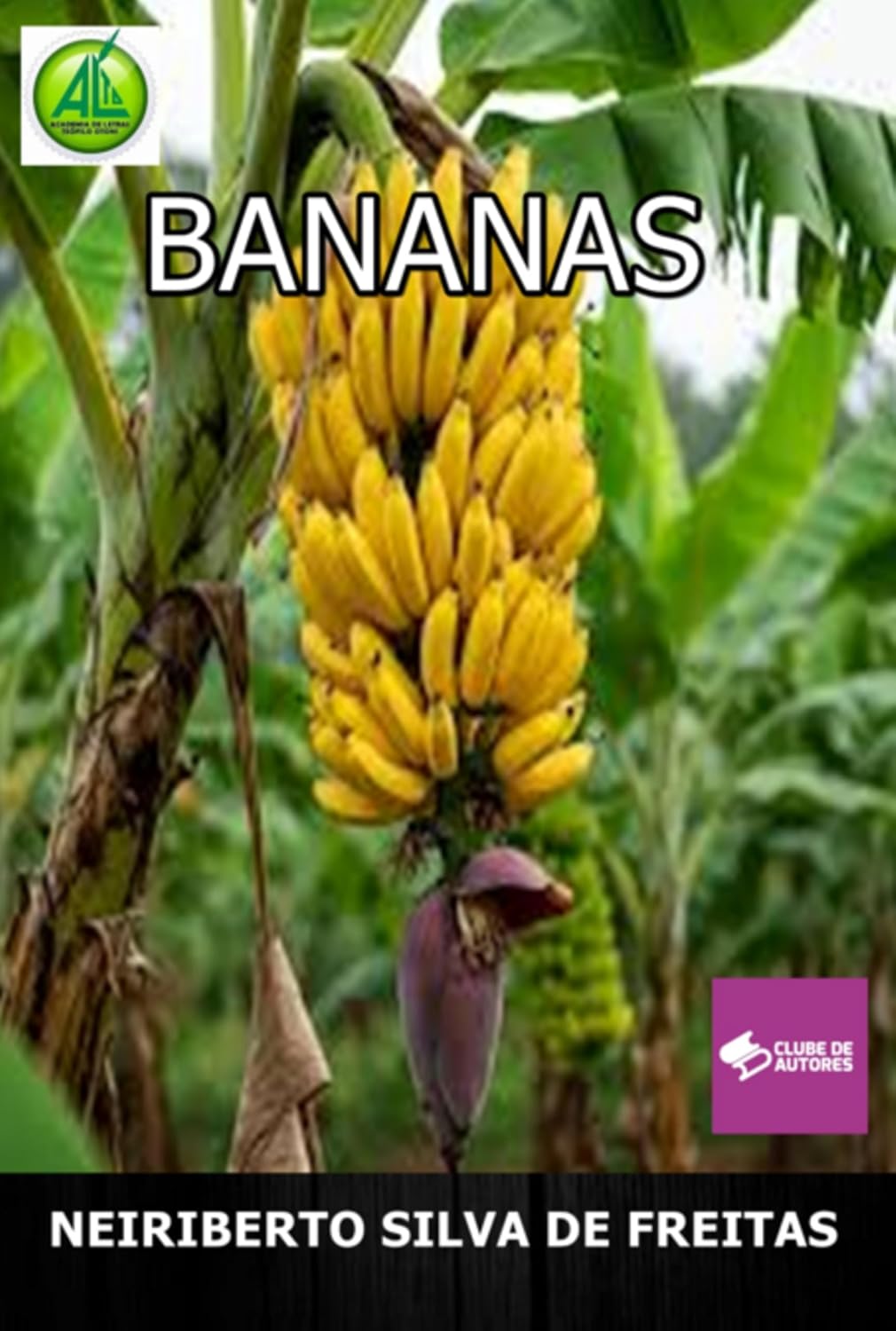 capítulo por capítulo baixar Bananas