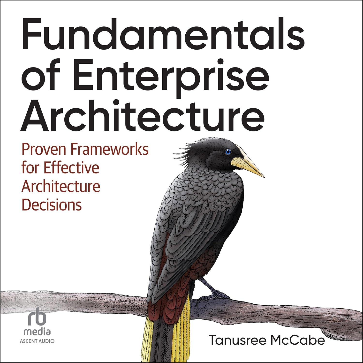 Fundamentals of Enterprise Architecture: Proven Frameworks for Effective Architecture Decisions baixar livro de graça