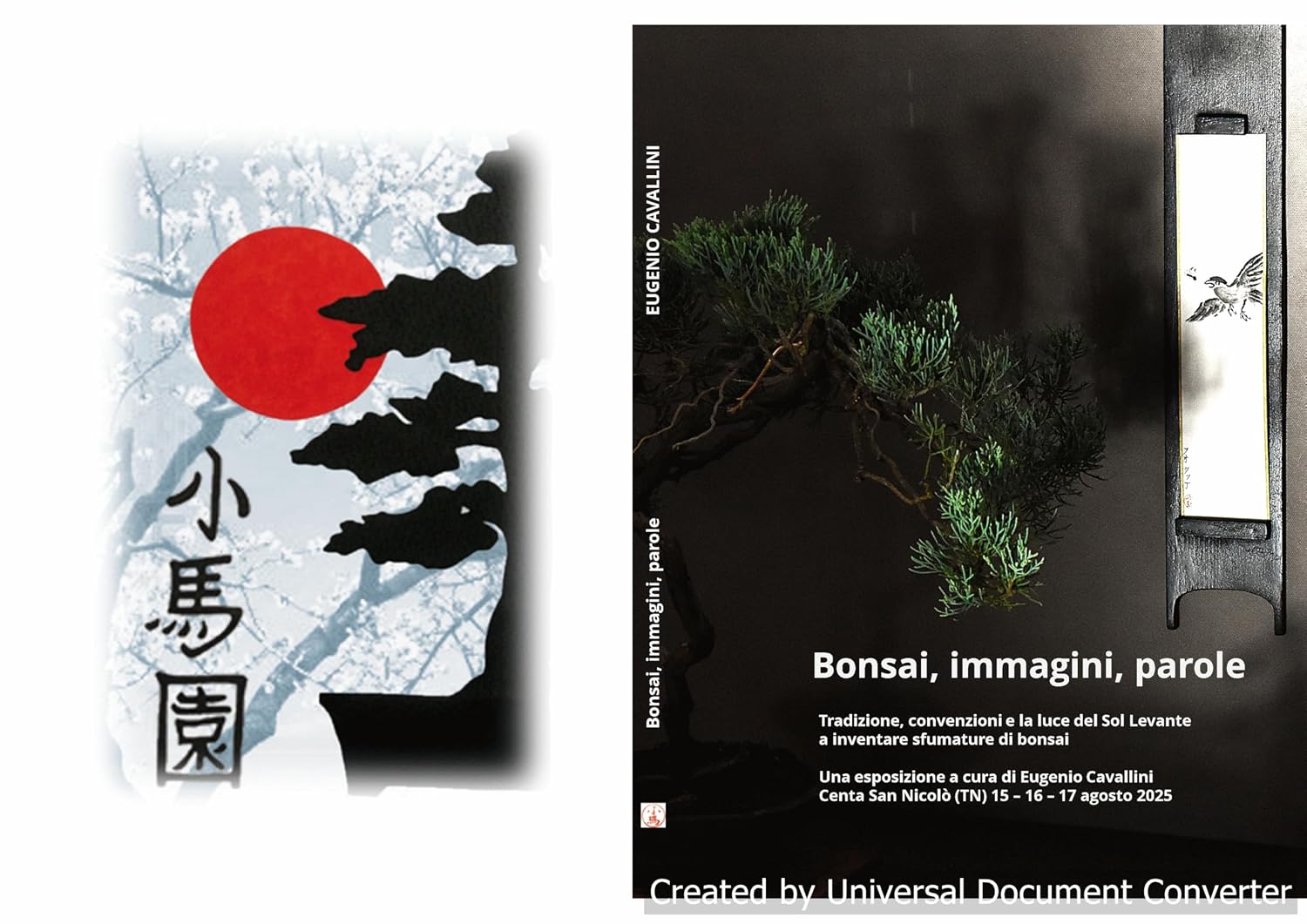 capítulo por capítulo baixar Bonsai, immagini, parole: Tradizione, convenzioni e la luce del Sol Levante a inventare sfumature di bonsai (Italian Edition)