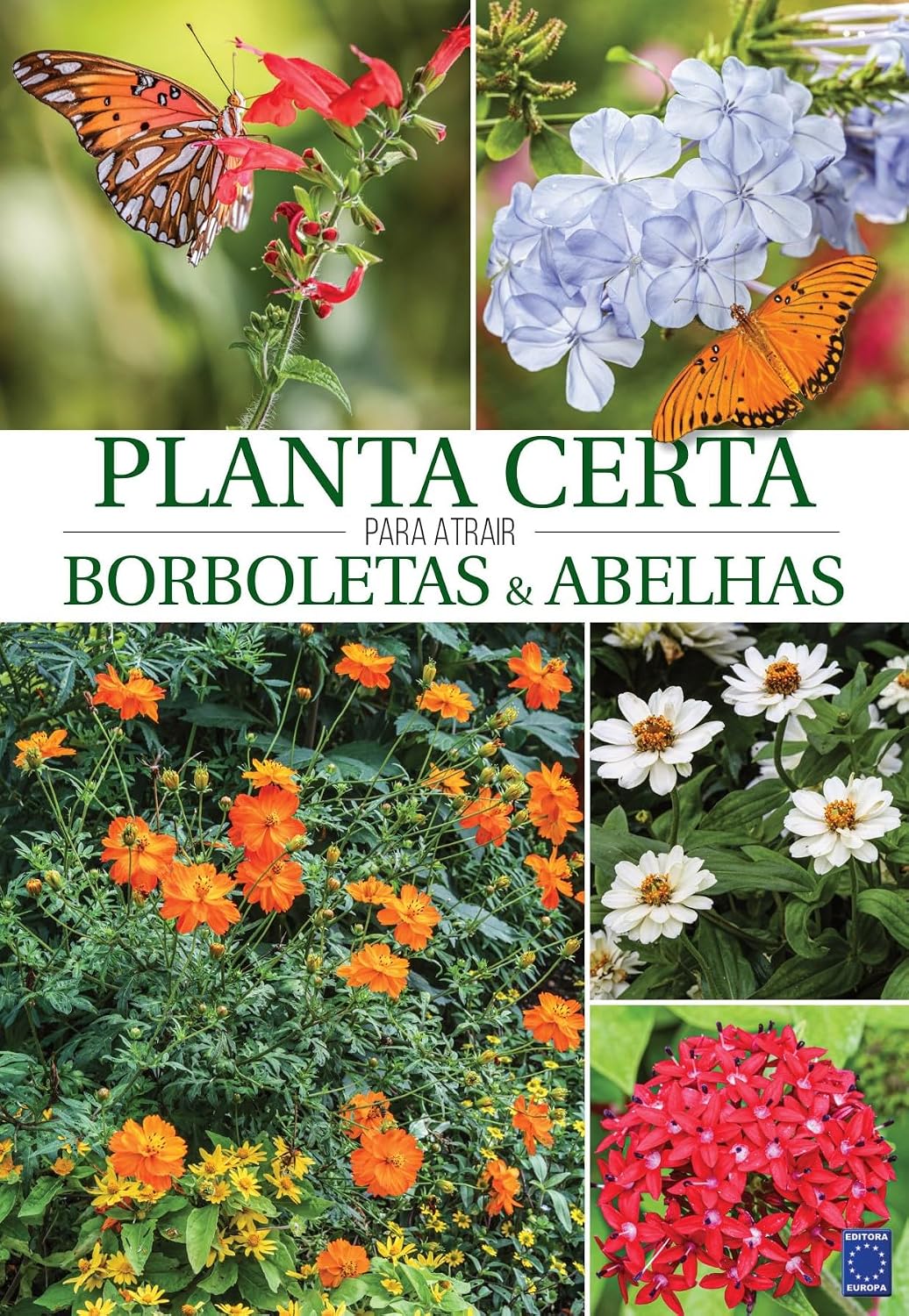 ler totalmente Planta Certa para atrair Borboletas e Abelhas
