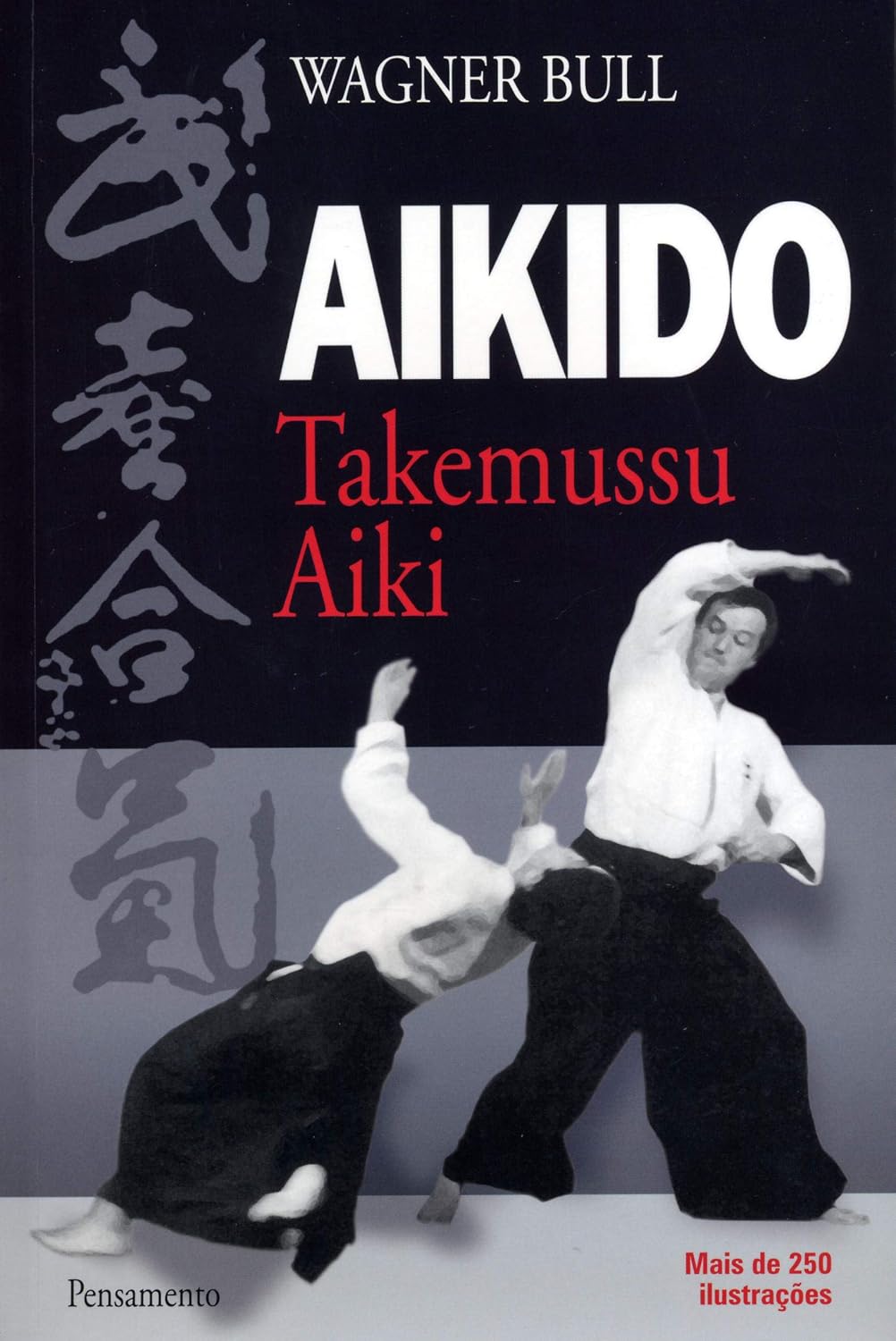 Aikido Takemussu Aiki baixar o livro de graça