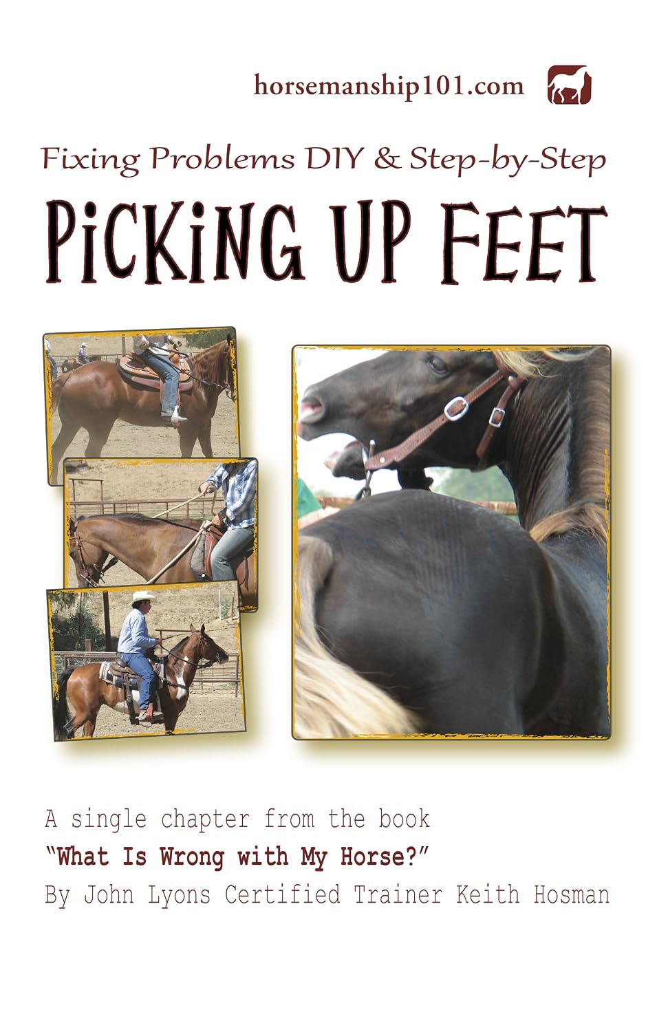 Picking Up Feet (What Is Wrong with My Horse? Book 21) (English Edition) baixar o livro de graça