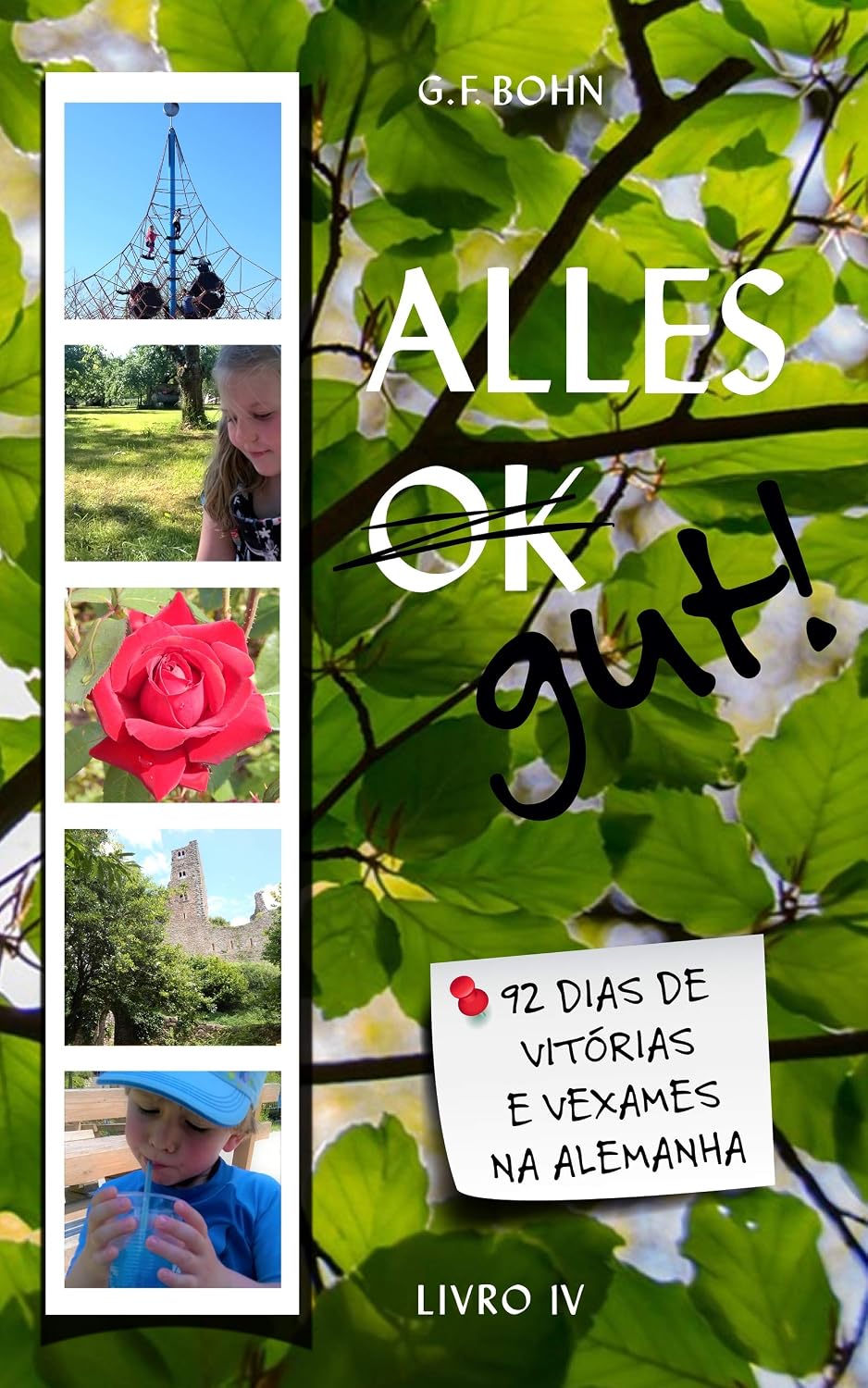 Alles Gut! 92 Dias de Vitórias e Vexames na Alemanha: Livro 4 baixar livro de graça