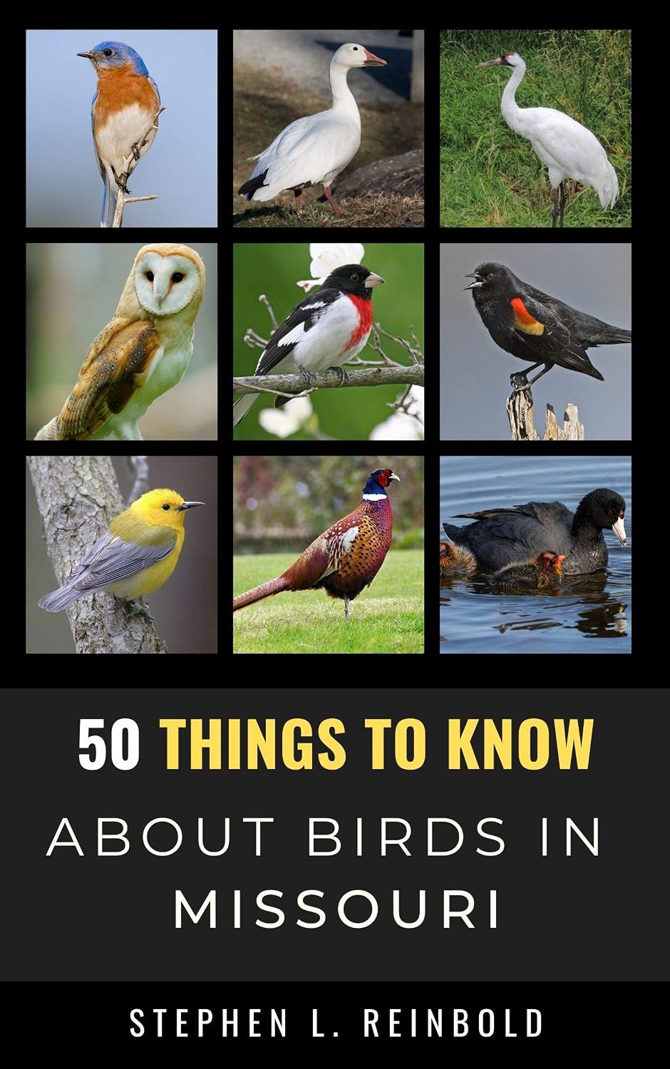 capítulo por capítulo baixar 50 Things to Know About Birds in Missouri: Birdwatching Guide, Bird Identification, Local Species, & Backyard Birds (50 Things to Know About Birds & Birdwatching:... and regional bird books) (English Edition)