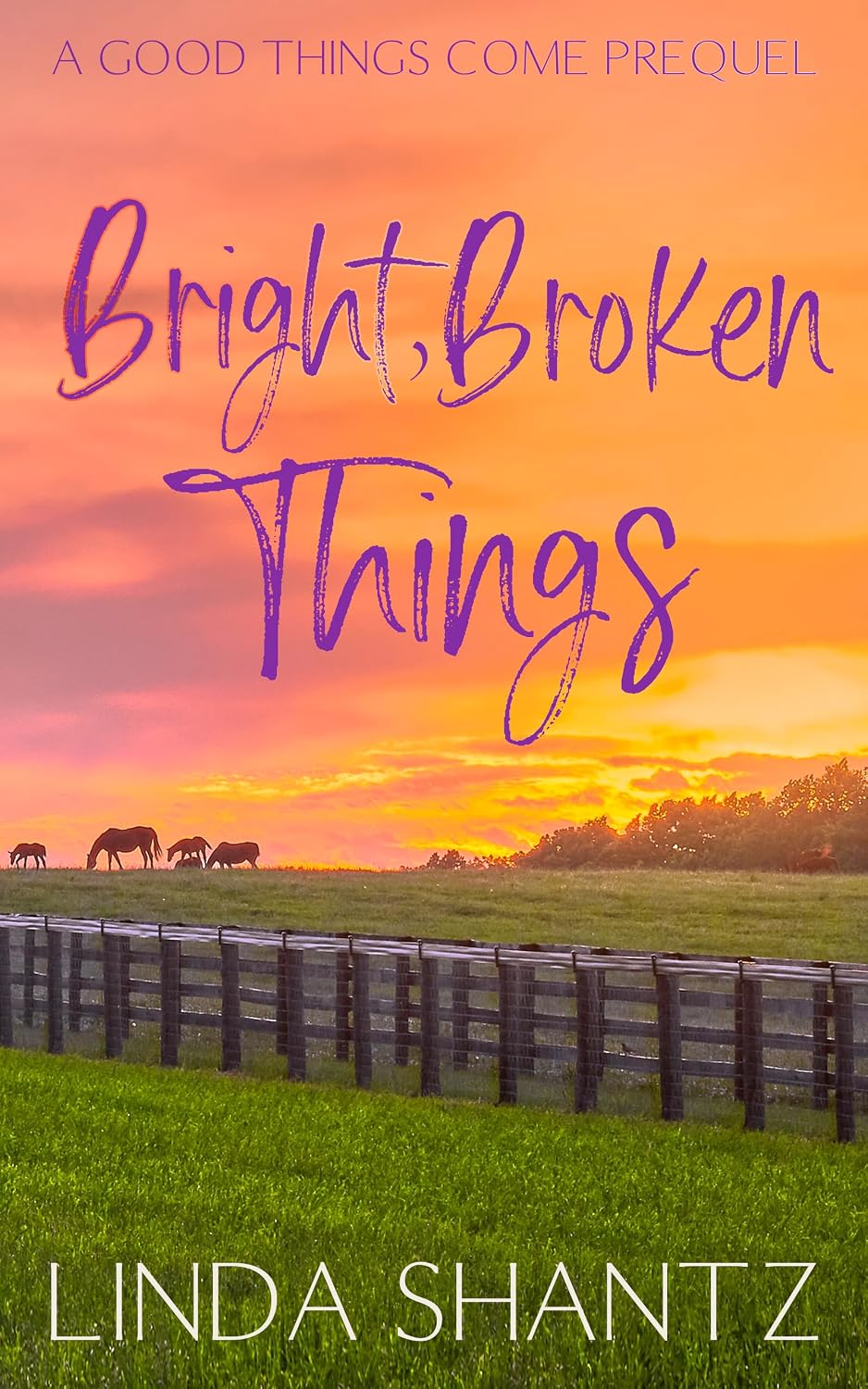 Bright, Broken Things: A coming-of-age horse racing novella (Good Things Come Prequel) (English Edition) baixar livro de graça