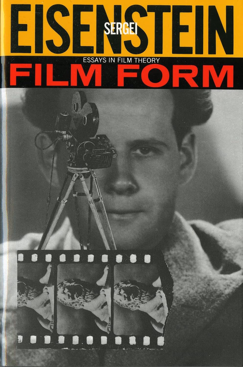 Film Form: Essays in Film Theory baixar livro de graça
