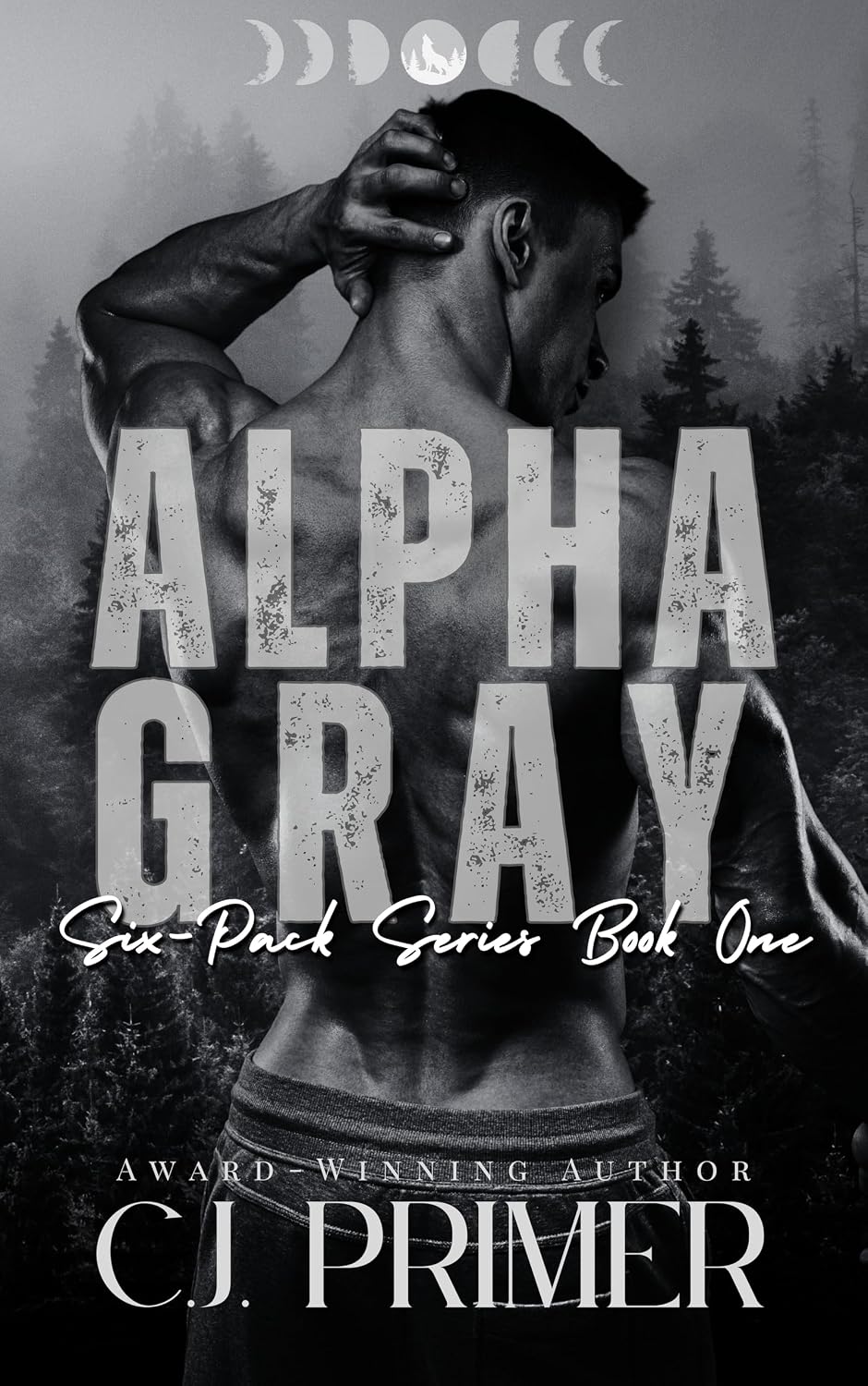 Alpha Gray: A Fated Mates Wolf Shifter Romance (Six-Pack Series Book One) (English Edition) baixar livro de graça