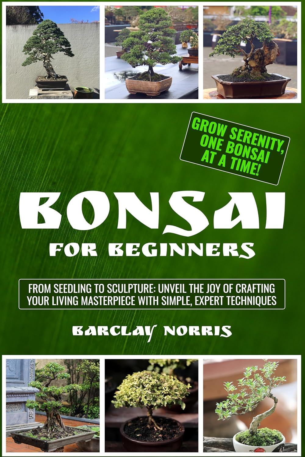 capítulo por capítulo baixar Bonsai for Beginners: From Seedling to Sculpture: Unveil the Joy of Crafting Your Living Masterpiece with Simple, Expert Techniques (English Edition)