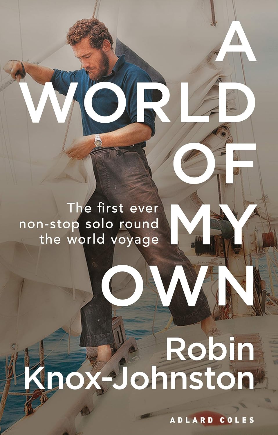 A World of My Own: The First Ever Non-Stop Solo Round the World Voyage baixar o livro de graça