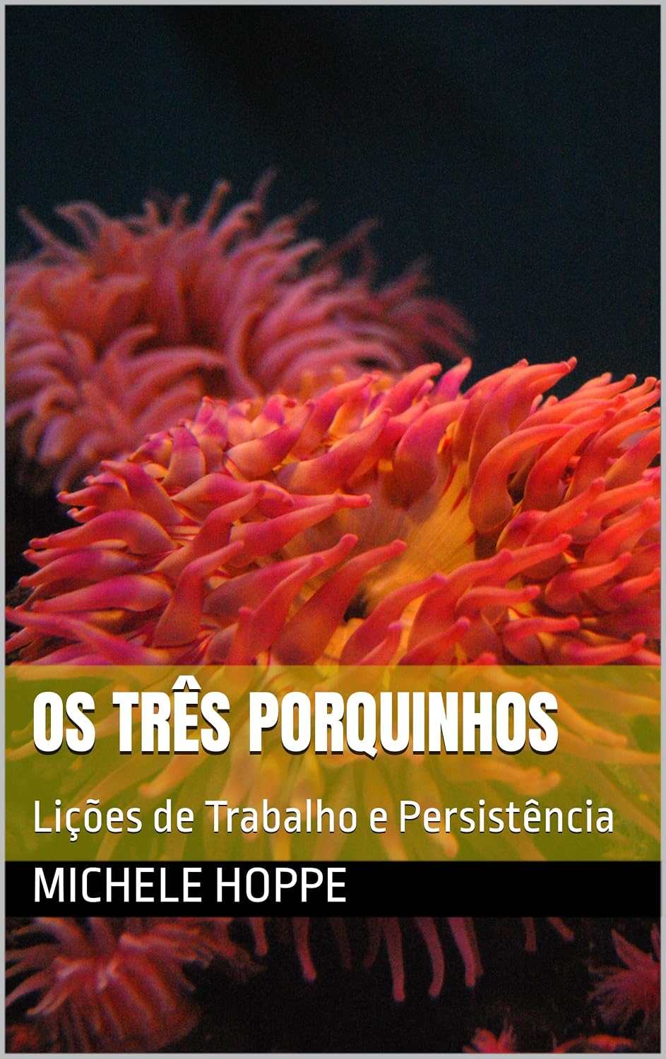 Os Três Porquinhos: Lições de Trabalho e Persistência baixar o livro de graça