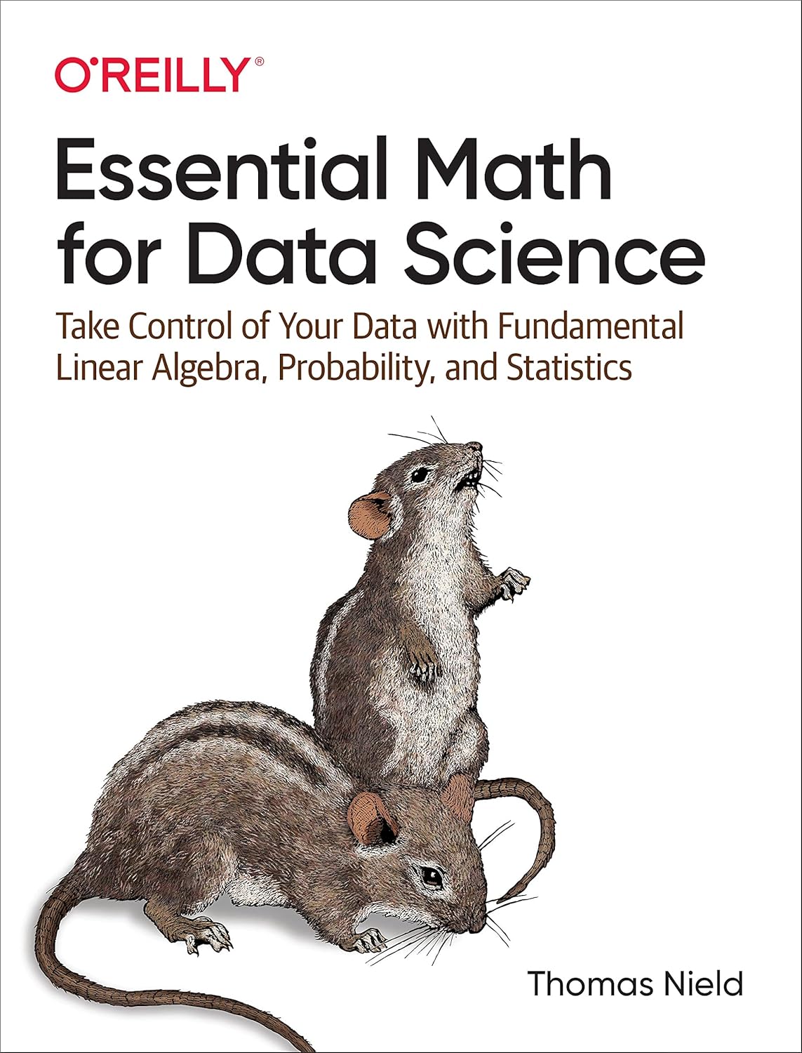 Essential Math for Data Science: Take Control of Your Data with Fundamental Linear Algebra, Probability, and Statistics (English Edition) baixar o livro de graça