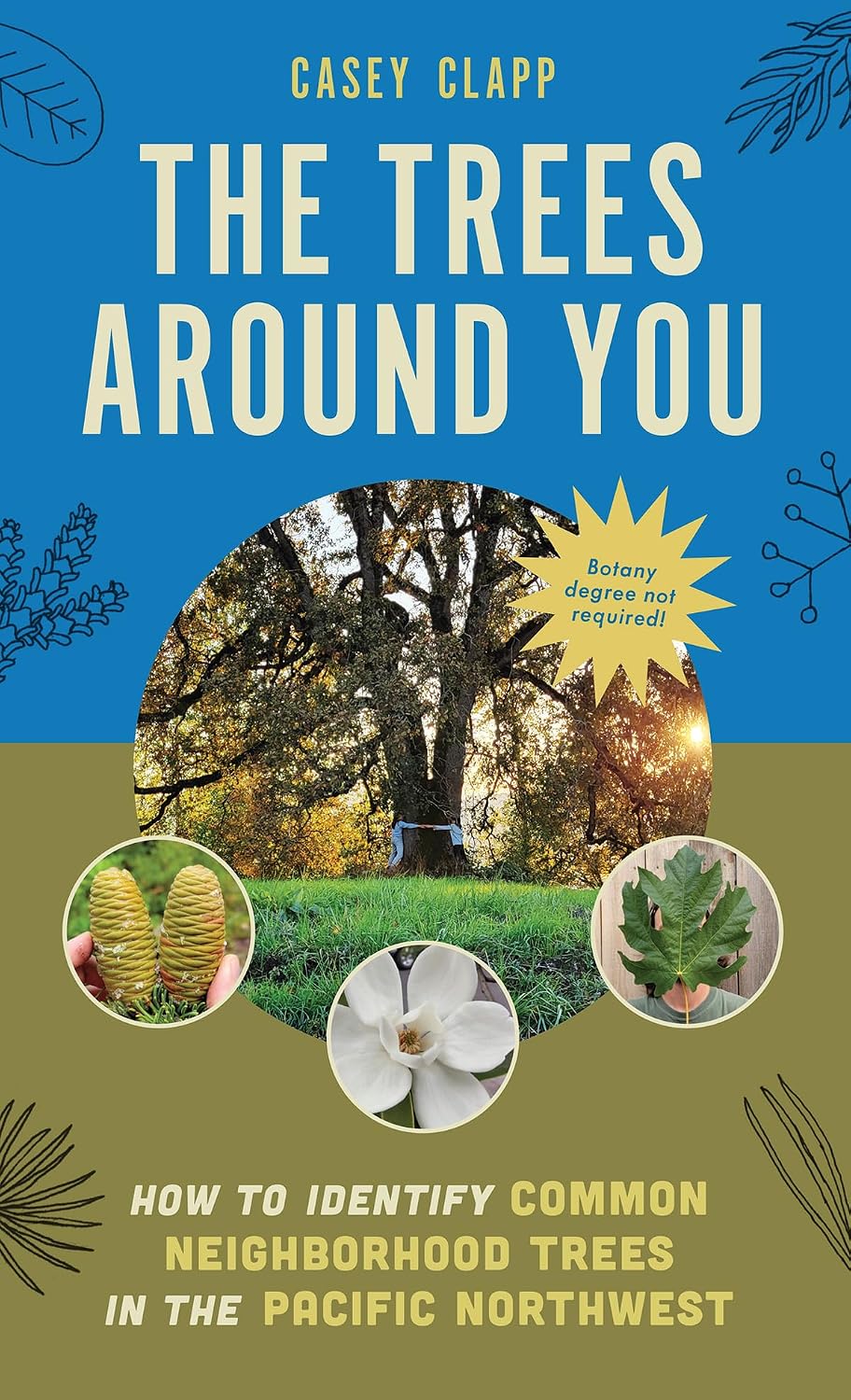 ler totalmente The Trees Around You: How to Identify Common Neighborhood Trees in the Pacific Northwest (English Edition)