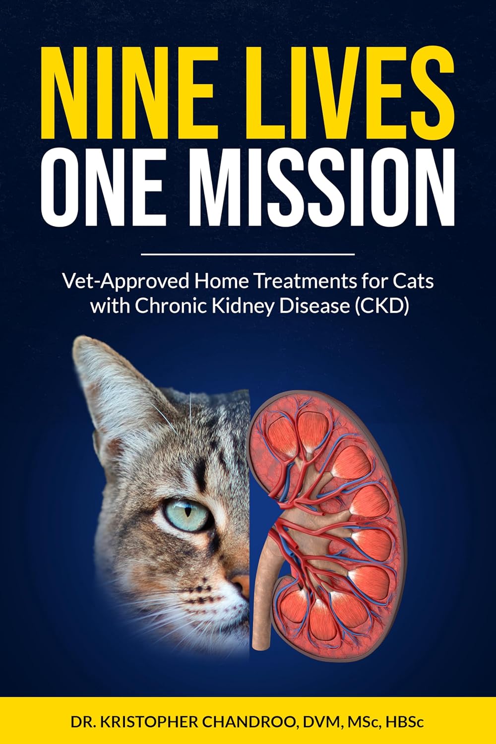 ler totalmente NINE LIVES, ONE MISSION: Vet-Approved Home Treatments for Cats with Chronic Kidney Disease (CKD) (English Edition)