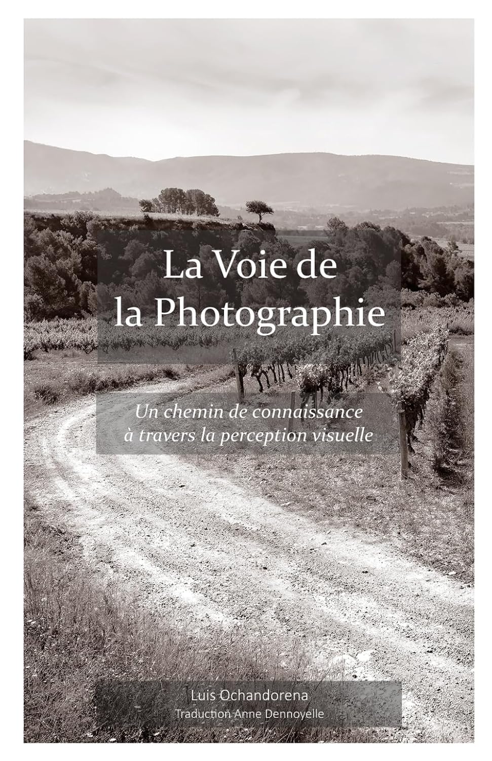capítulo por capítulo baixar La Voie de la photographie: Un chemin de connaissance à travers la perception visuelle