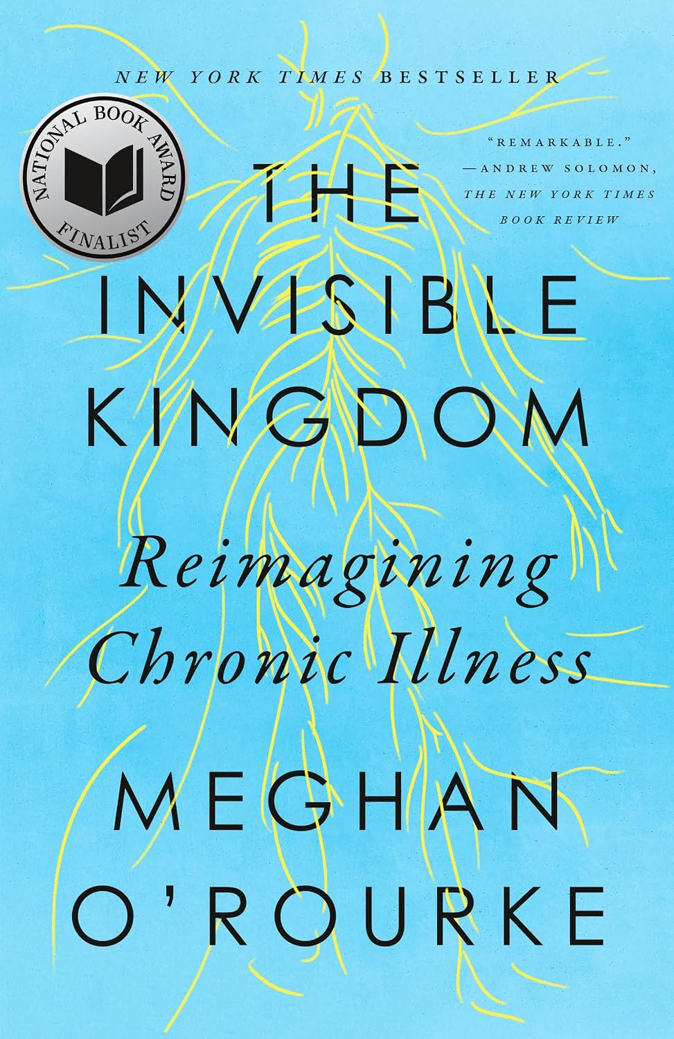 ler totalmente The Invisible Kingdom: Reimagining Chronic Illness