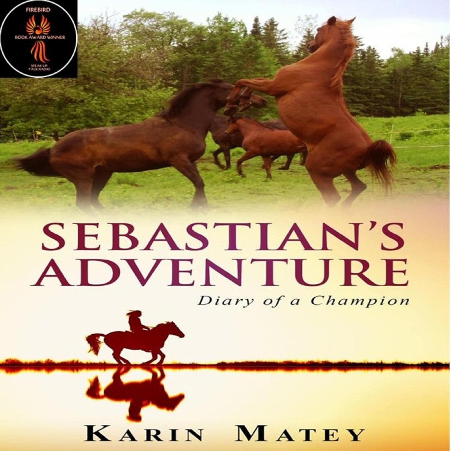 ler totalmente Sebastian's Adventures: Diary of a Champion
