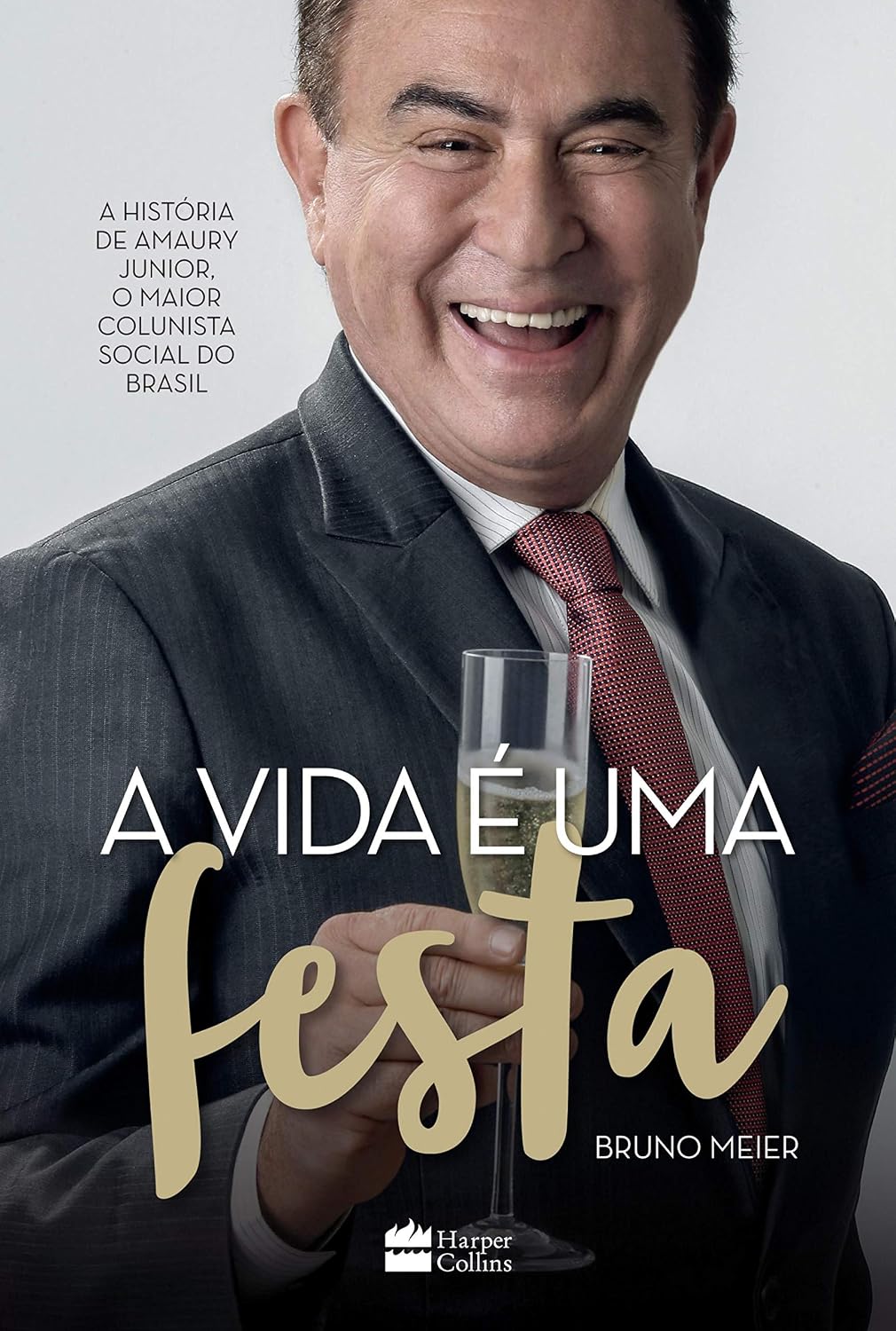 ler totalmente A vida é uma festa: A história de Amaury Júnior, o maior colunista social do Brasil