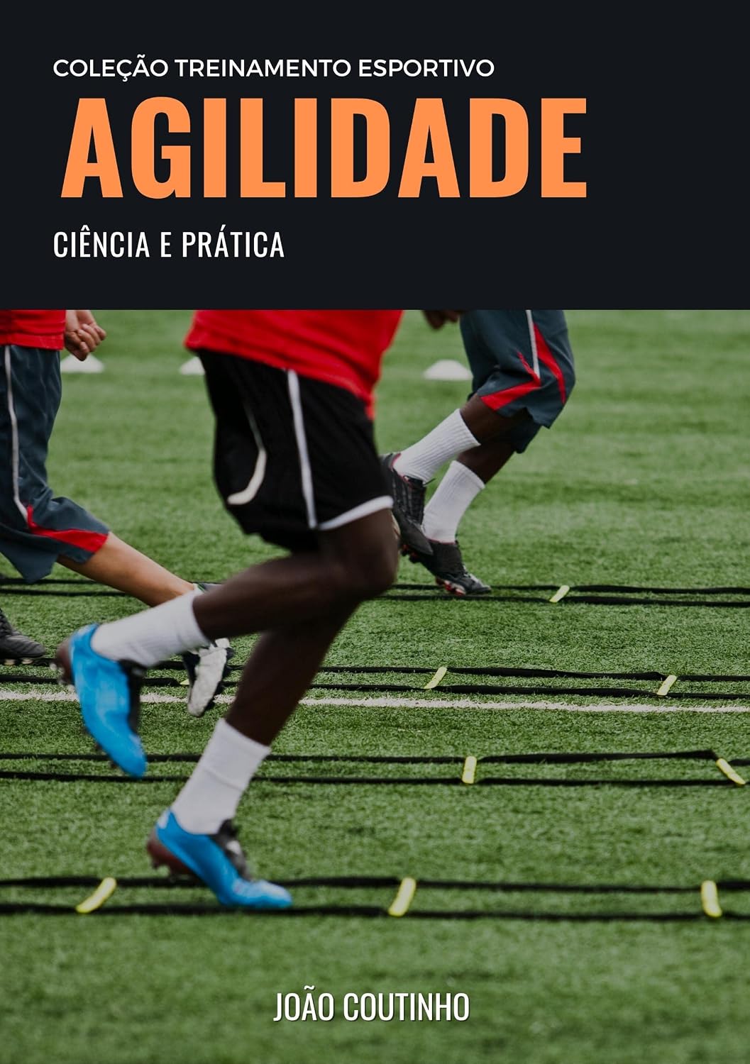 ler totalmente Agilidade: ciência e prática (Coleção Treinamento Esportivo)
