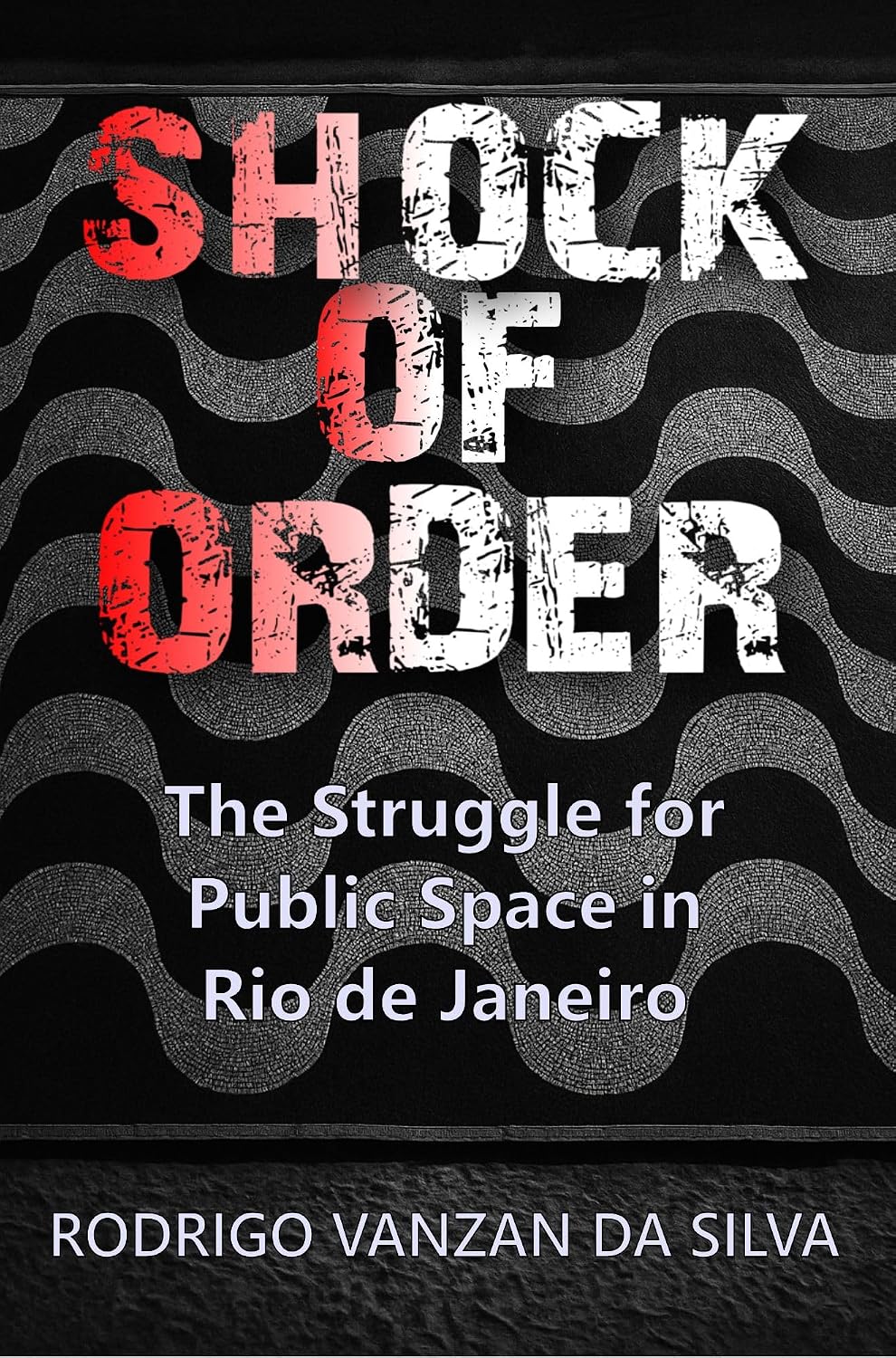 Shock of Order: The Struggle for Public Space in Rio de Janeiro (English Edition) baixar livro de graça