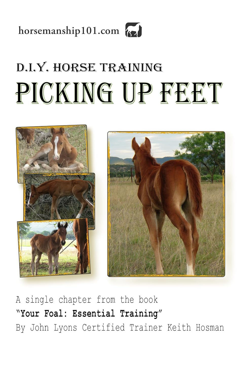 Picking Up Feet (Your Foal: Essential Training Book 7) (English Edition) baixar o livro de graça