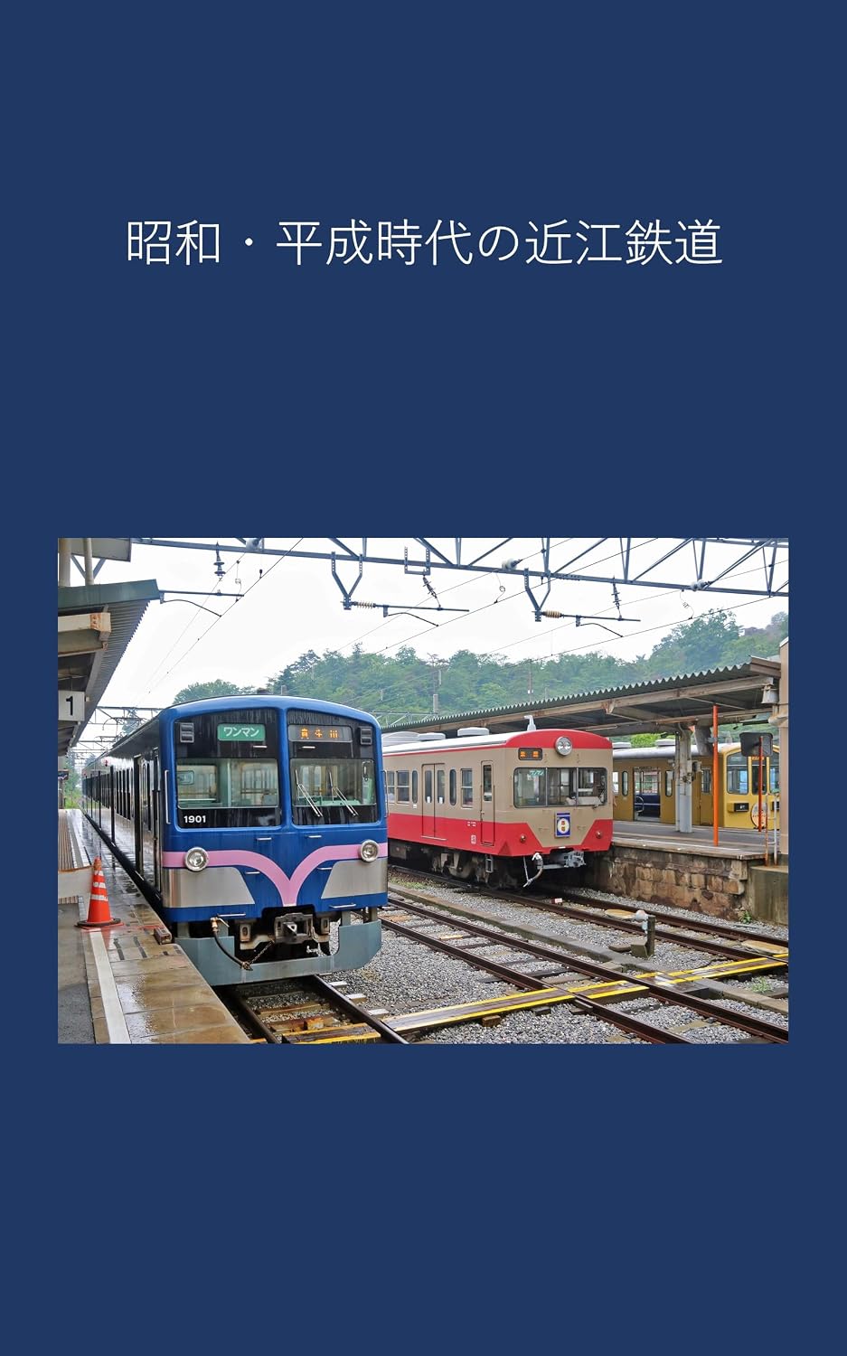Omi Railway in the Showa and Heisei eras (Japanese Edition) baixar livro de graça
