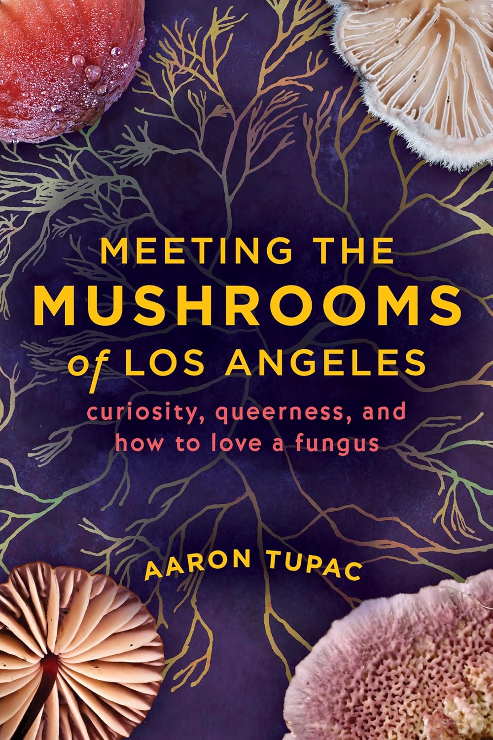 Meeting the Mushrooms of Los Angeles: Curiosity, Queerness, and How to Love a Fungus (English Edition) baixar o livro de graça