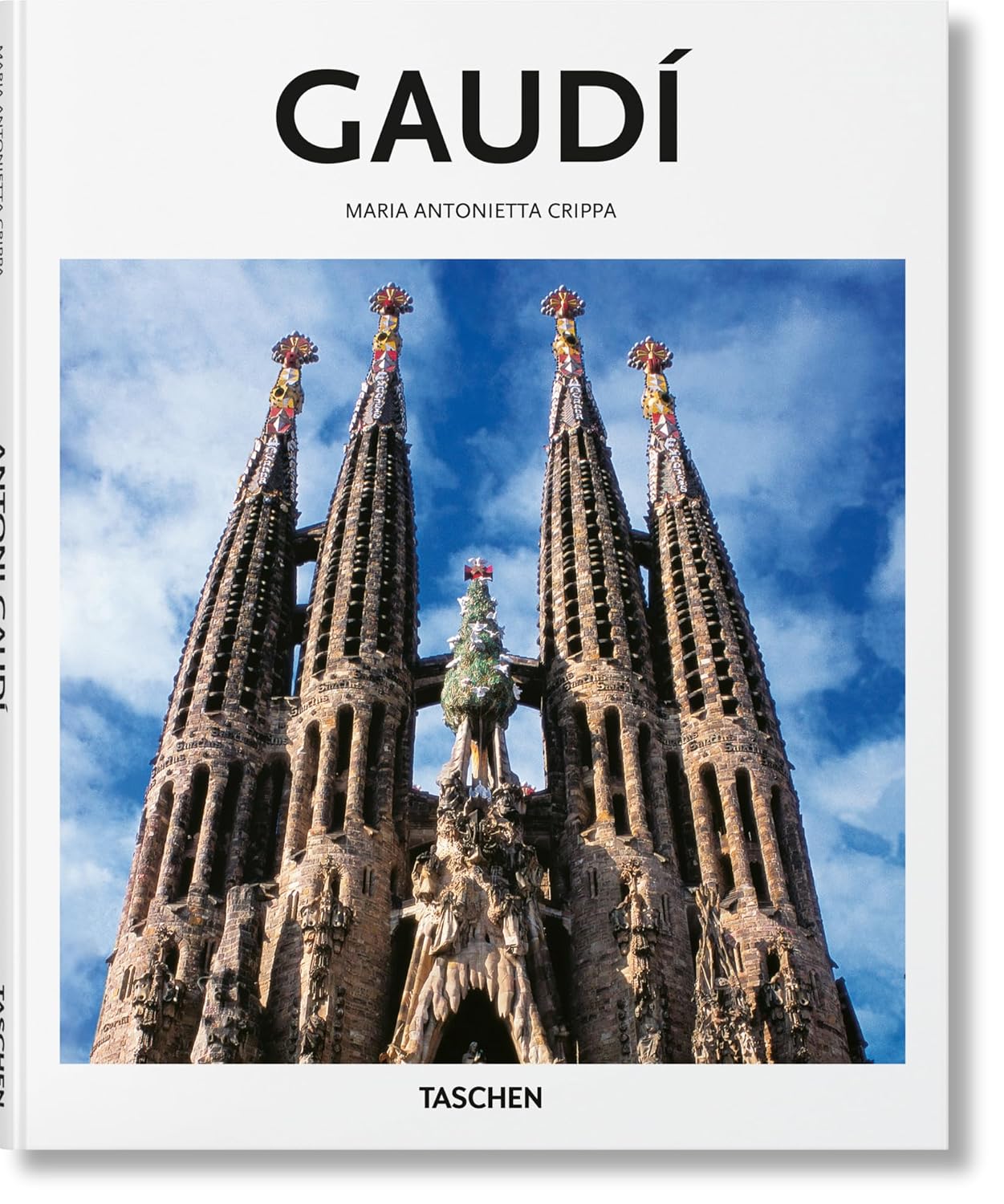 capítulo por capítulo baixar Gaudi: From Nature to Architecture