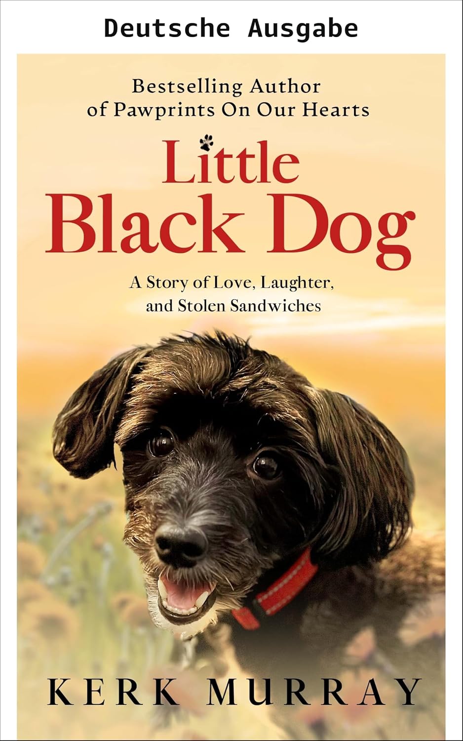 ler totalmente Der kleine schwarze Hund (Hundefreunde 2) (German Edition)