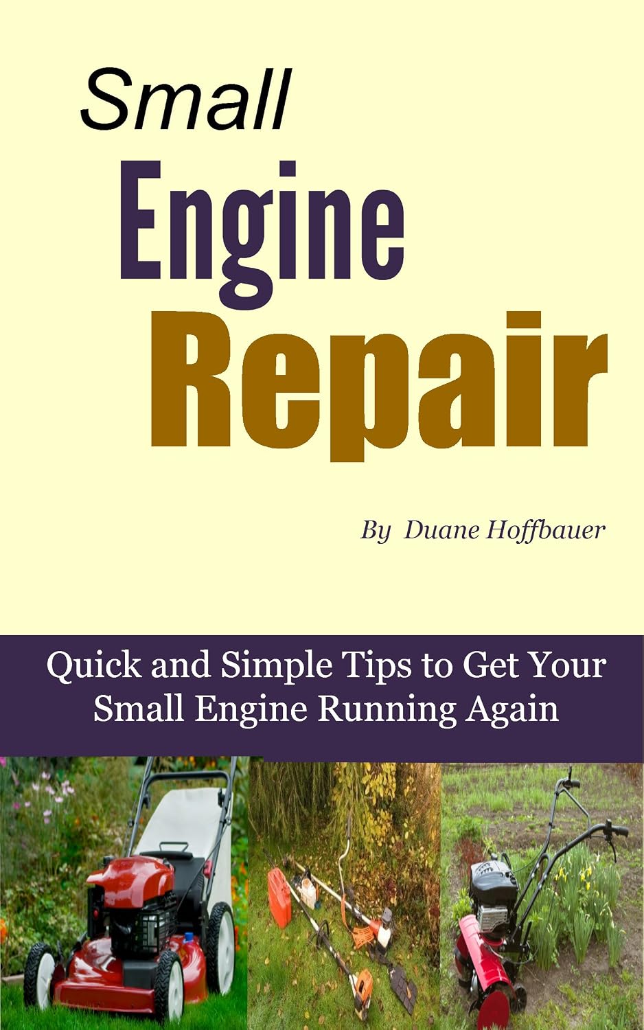 Small Engine Repair - Quick and Simple Tips to Get Your Small Engine Running Again (English Edition) baixar livro de graça