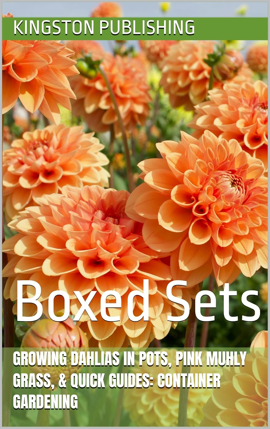 Growing Dahlias in Pots, Pink Muhly Grass, & Quick Guides: Container Gardening: Boxed Sets (Plant Care Guides for Beginners) (English Edition) baixar o livro de graça