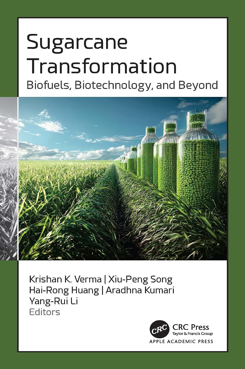 capítulo por capítulo baixar Sugarcane Transformation: Biofuels, Biotechnology, and Beyond (English Edition)