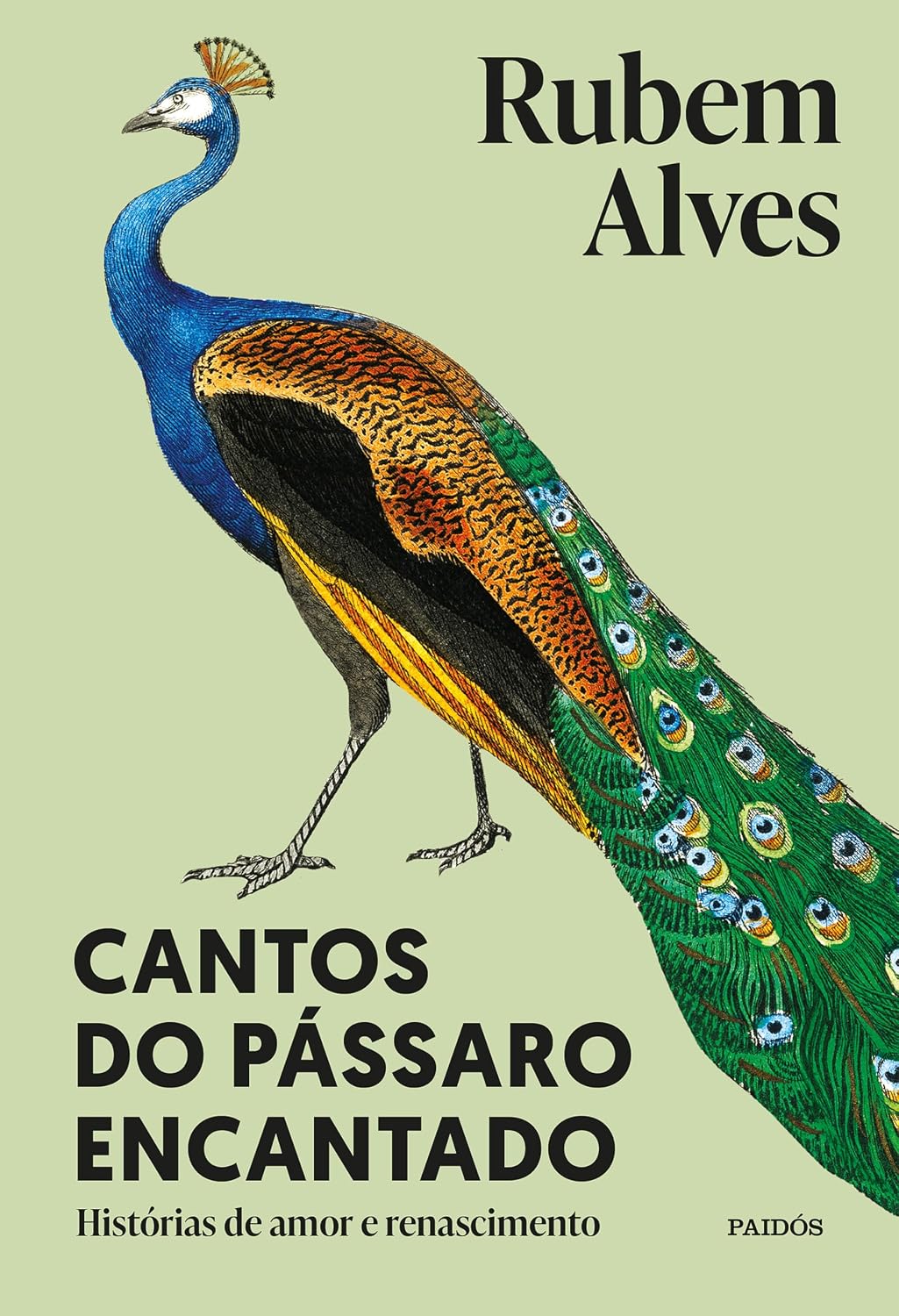 Cantos do pássaro encantado: Histórias de amor e renascimento - 2ª edição (Biblioteca Rubem Alves) baixar o livro de graça