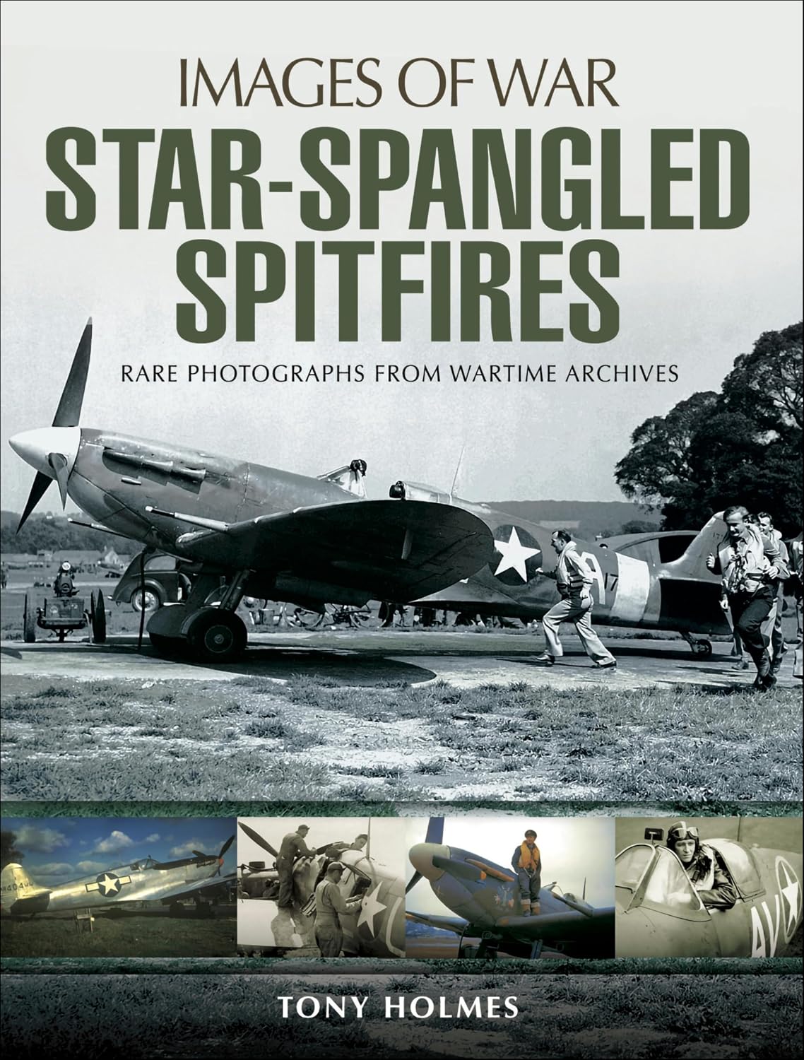 capítulo por capítulo baixar Star-Spangled Spitfires (Images of War) (English Edition)