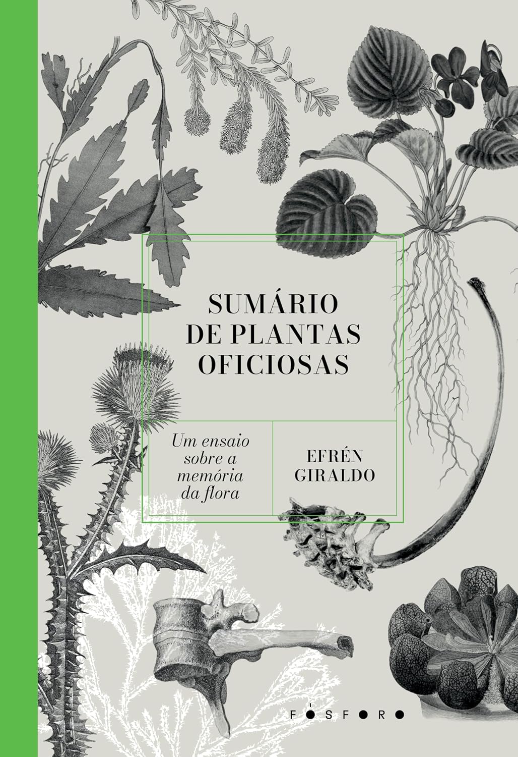 Sumário de plantas oficiosas: um ensaio sobre a memória da flora baixar o livro de graça