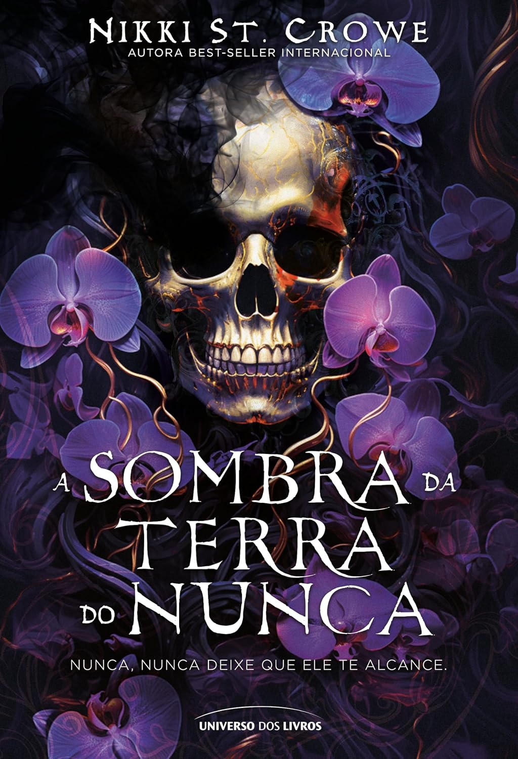 A sombra da Terra do Nunca: 2