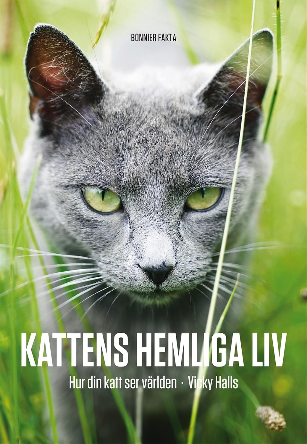Kattens hemliga liv: hur din katt ser på världen baixar livro de graça