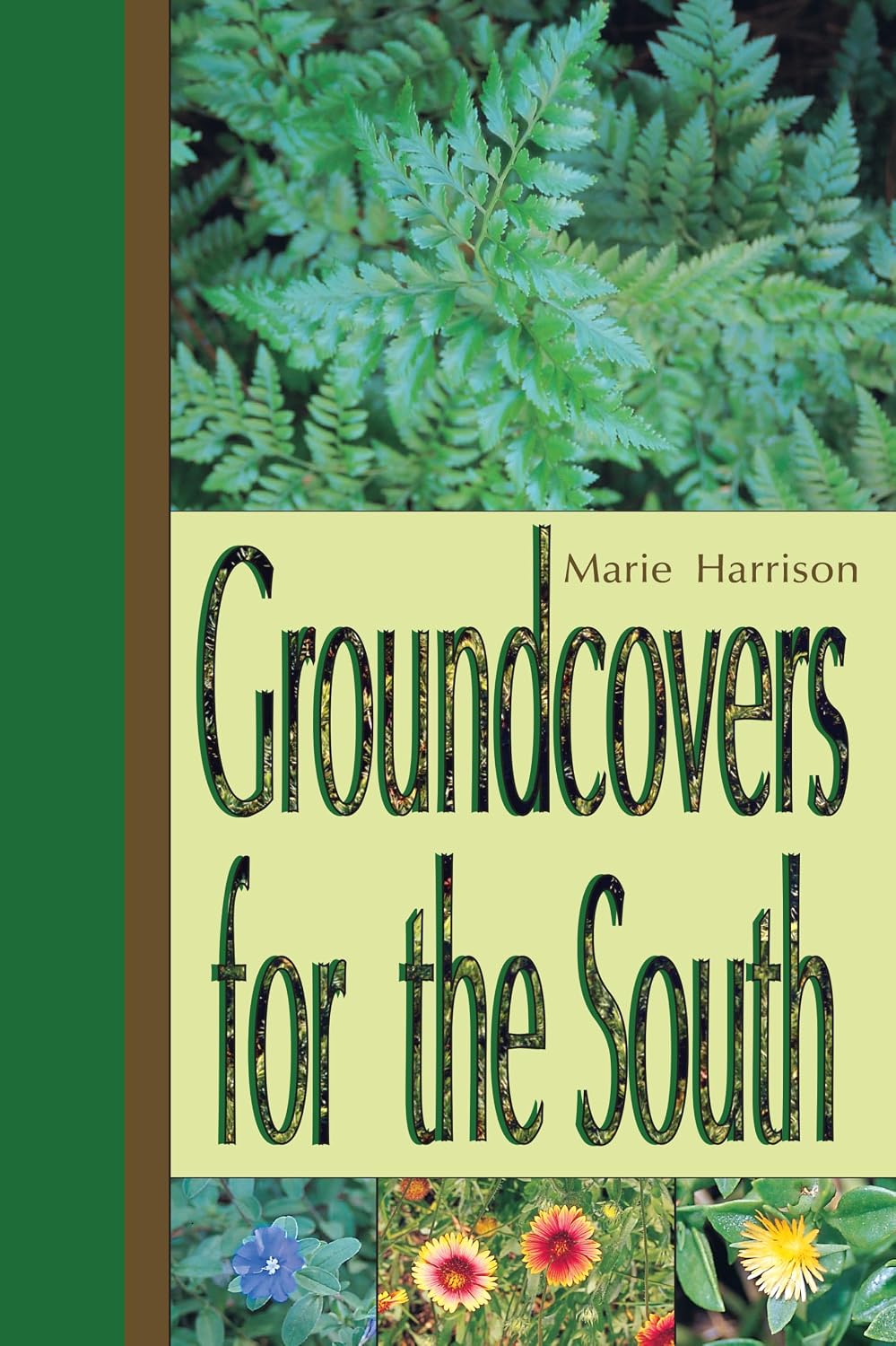 ler totalmente Groundcovers for the South