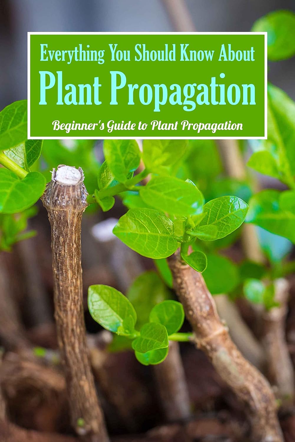 ler totalmente Everything You Should Know About Plant Propagation: Beginner's Guide to Plant Propagation: Beginner Plant Propagation. (English Edition)