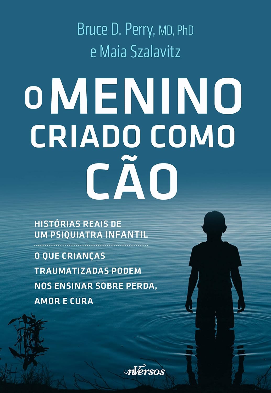 capítulo por capítulo baixar O Menino Criado como Cão: O que as crianças traumatizadas podem nos ensinar sobre perda, amor e cura