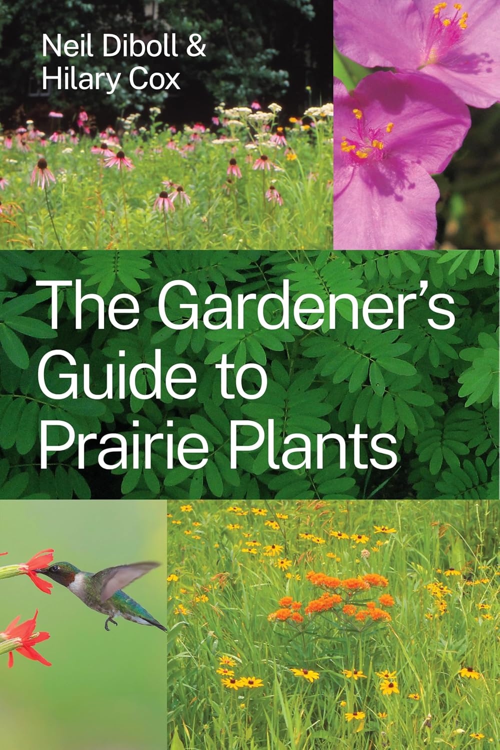 ler totalmente The Gardener's Guide to Prairie Plants (English Edition)