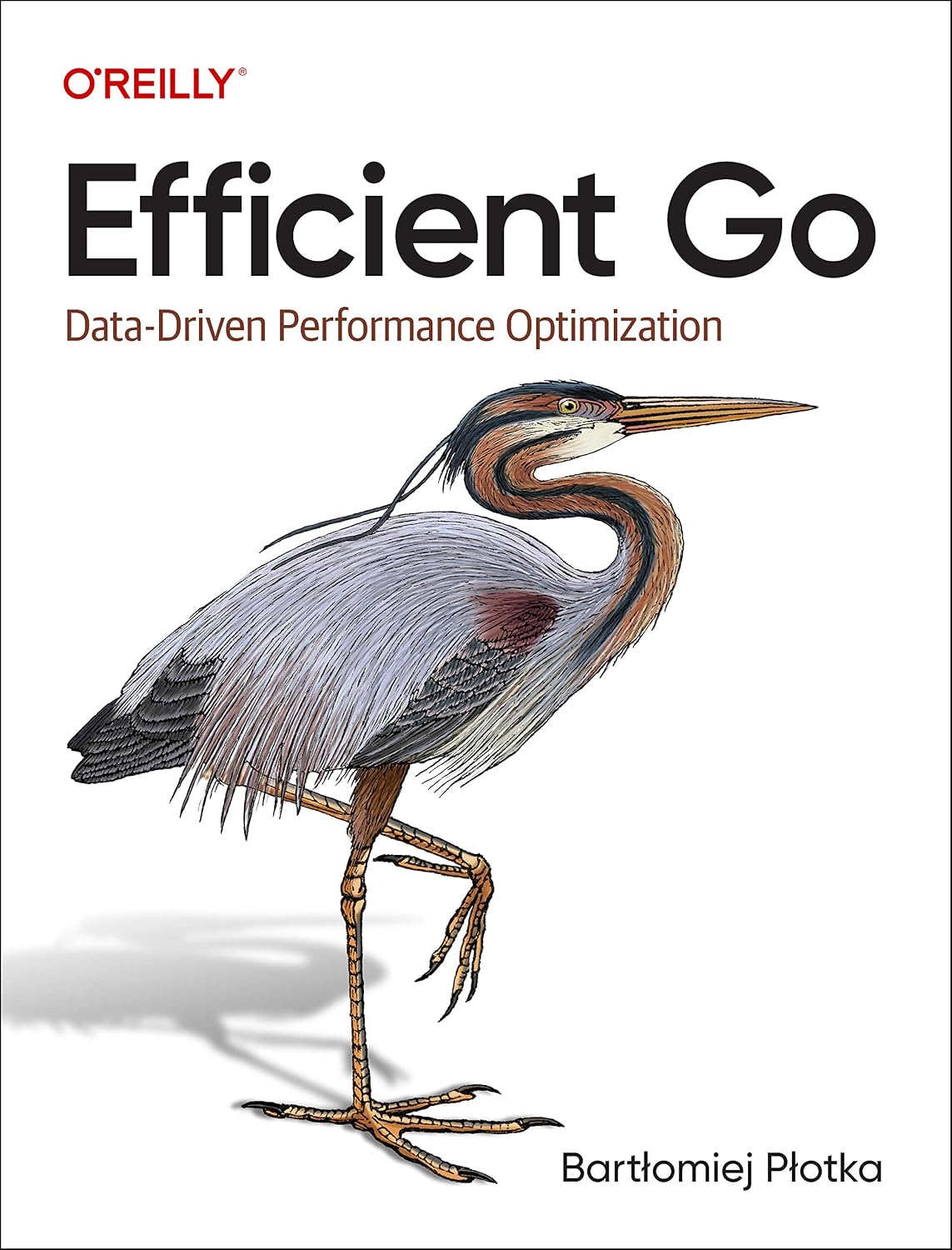 Efficient Go: Data-Driven Performance Optimization baixar o livro de graça